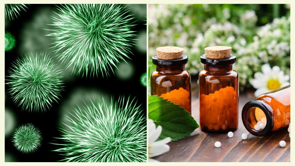 Fungal Infections